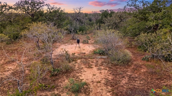 1184 COUNTY ROAD 482, GONZALES, TX 78629 - Image 2450ca904b846b2b57b01037d430cfcf/2882176541