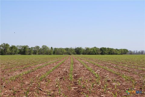 TBD County Road 301 Marlin TX 76661