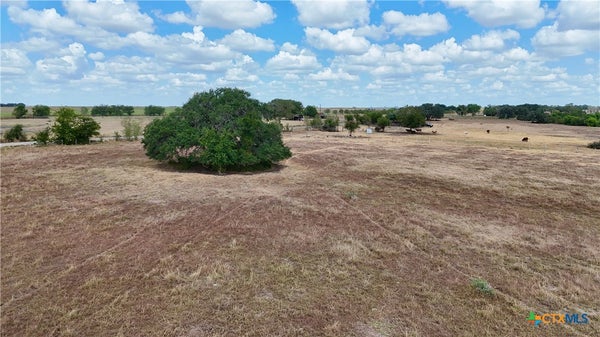 167 COUNTY RD 366, SHINER, TX 77984 - Image 25b8bbd4744185f4e96a33c654ef8d3c/3040086750