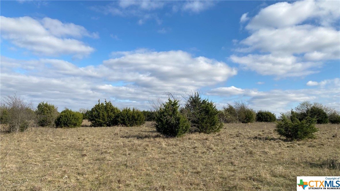 123 Acres on Twin Mountain