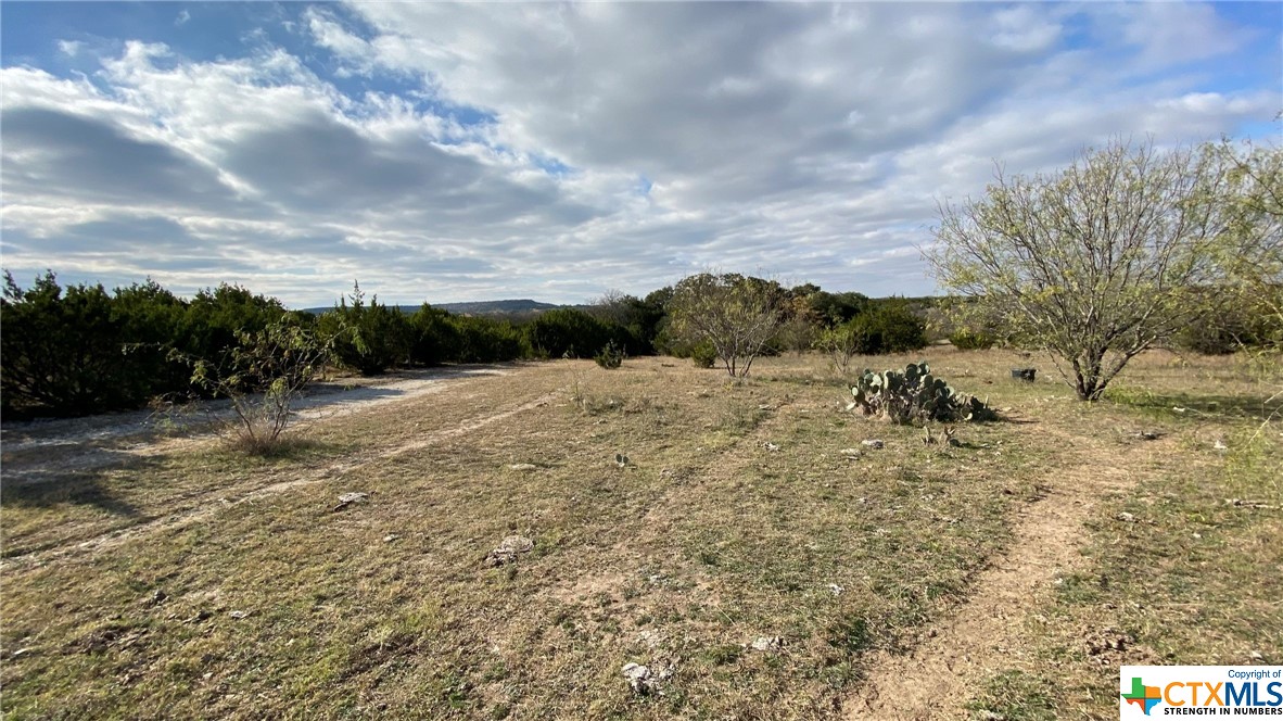 123 Acres on Twin Mountain