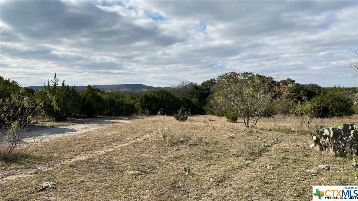 123 Acres on Twin Mountain