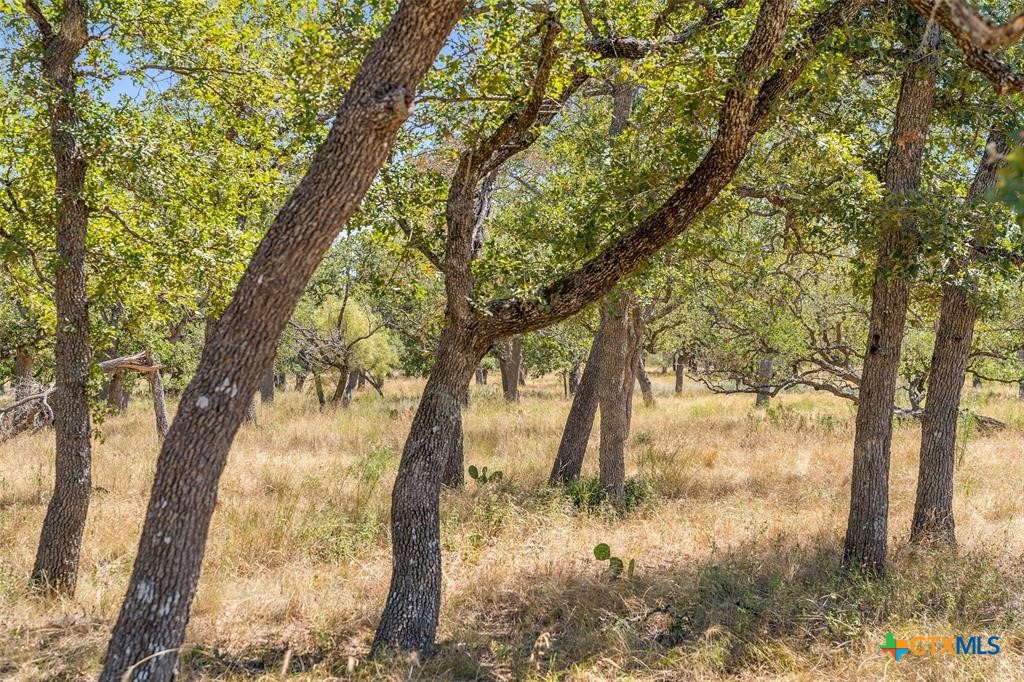 18.145 Acres Herber-Schaefer Road