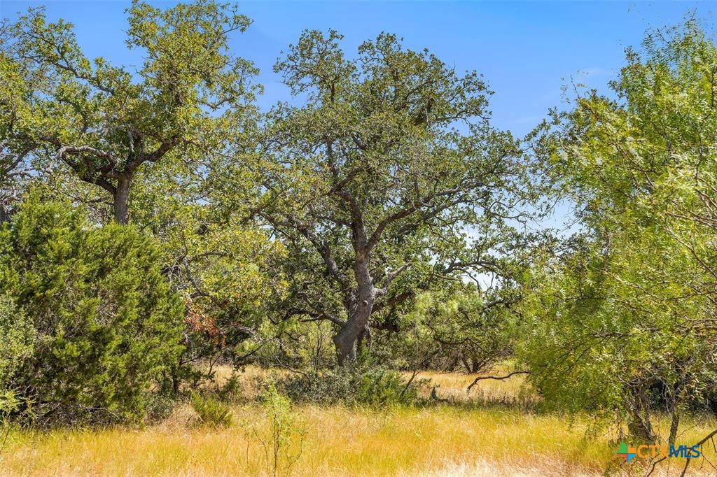 18.145 Acres Herber-Schaefer Road