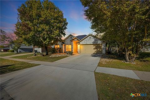 Photo of 4209 Telluride Drive, Killeen, TX 76542 (MLS # 599252)