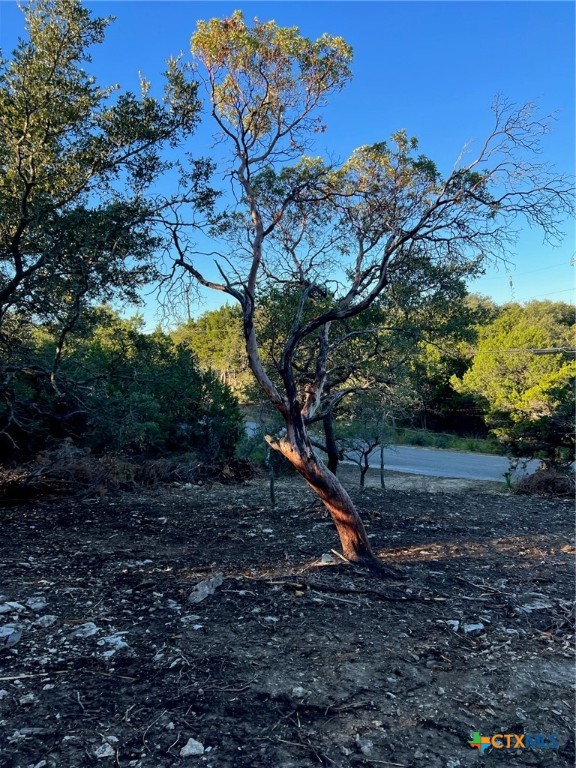 Canyon Lake, Texas 78133, United States, ,Land,Active,53058