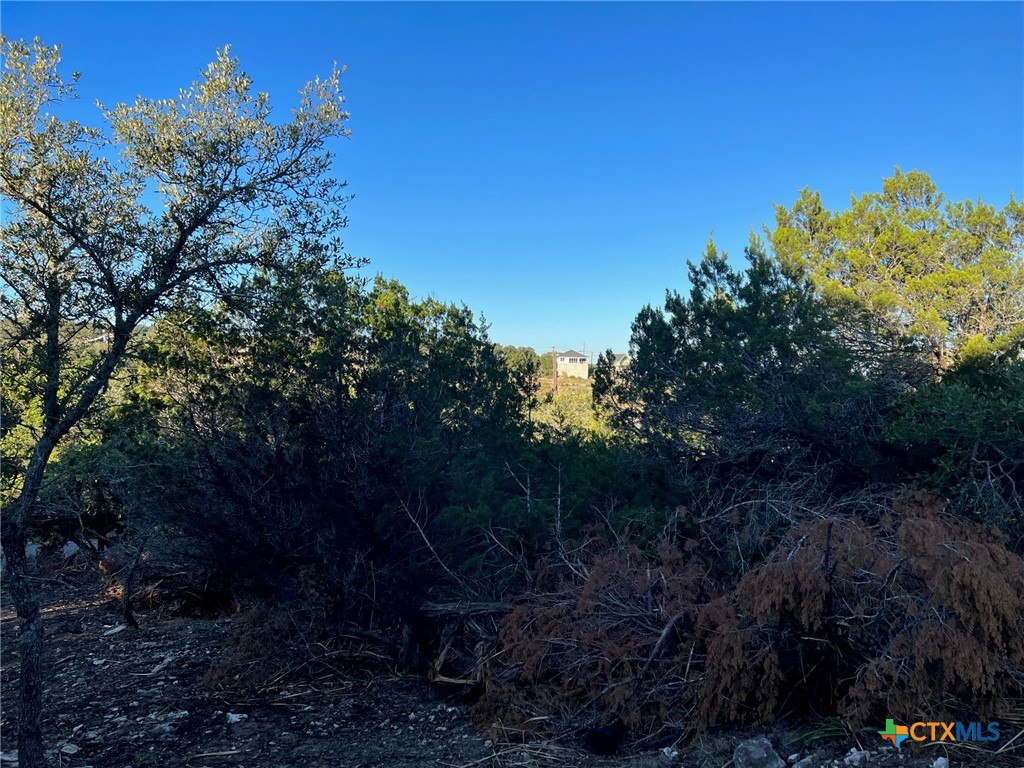 Canyon Lake, Texas 78133, United States, ,Land,Active,53058