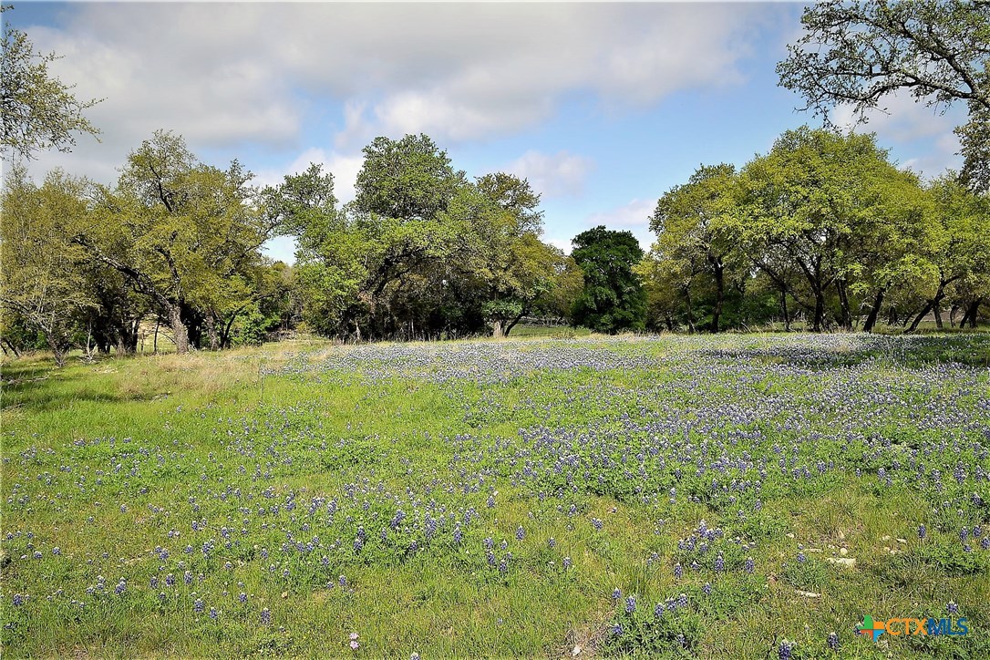 1290 County Road 4765