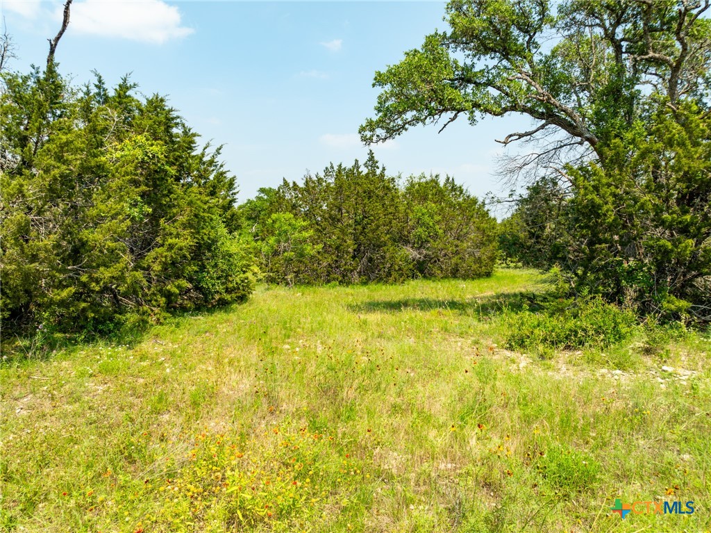 TBD Pitchfork Ranch Road