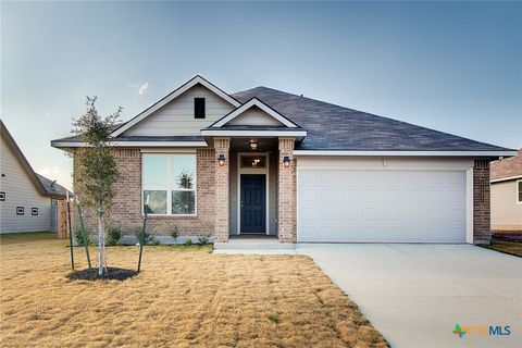 1122 Lilac Ledge Drive Temple TX 76502