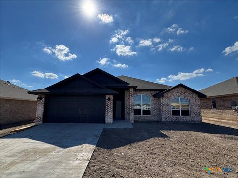 2546 Cowgirl Trail Belton TX 76513