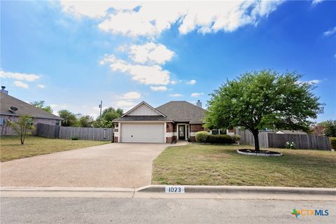 Photo of 1023 Paseo Del Plata, Temple, TX 76502 (MLS # 608706)