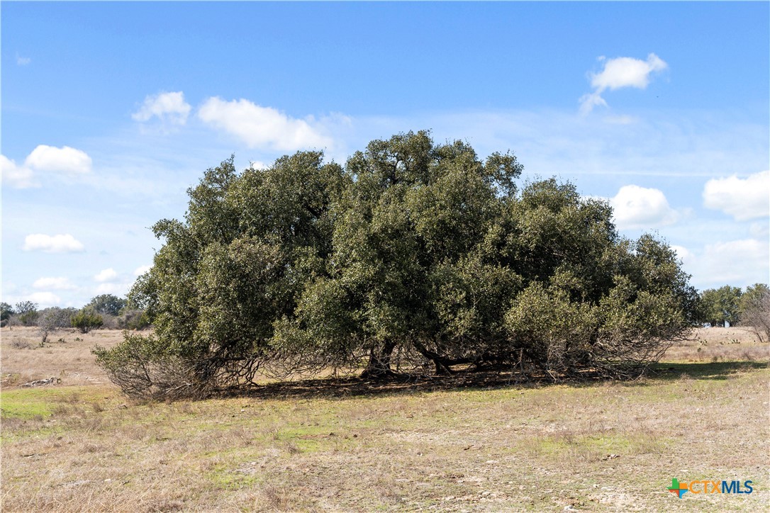 TBD Hidden Springs Drive