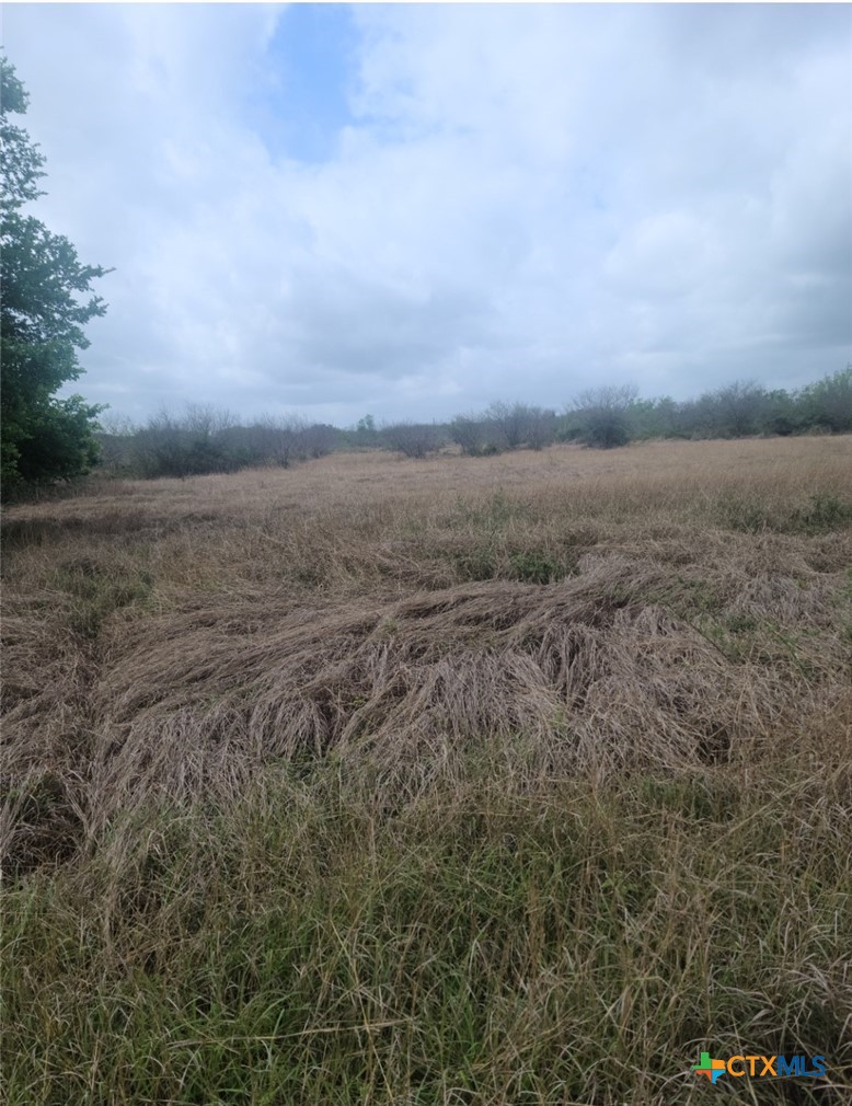 TBD Zac Lentz Parkway