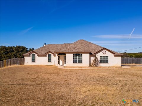 Photo of 761 County Road 3340 Road, Kempner, TX 76539 (MLS # 603322)