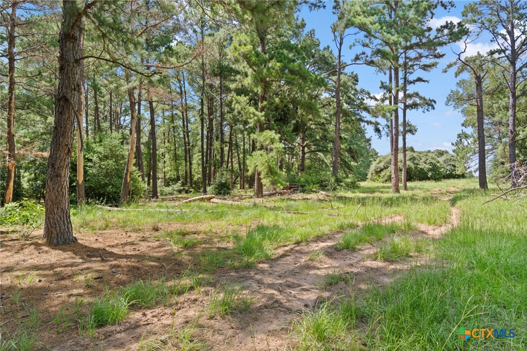 TBD (Tracts 11 & 12) St Delight Road