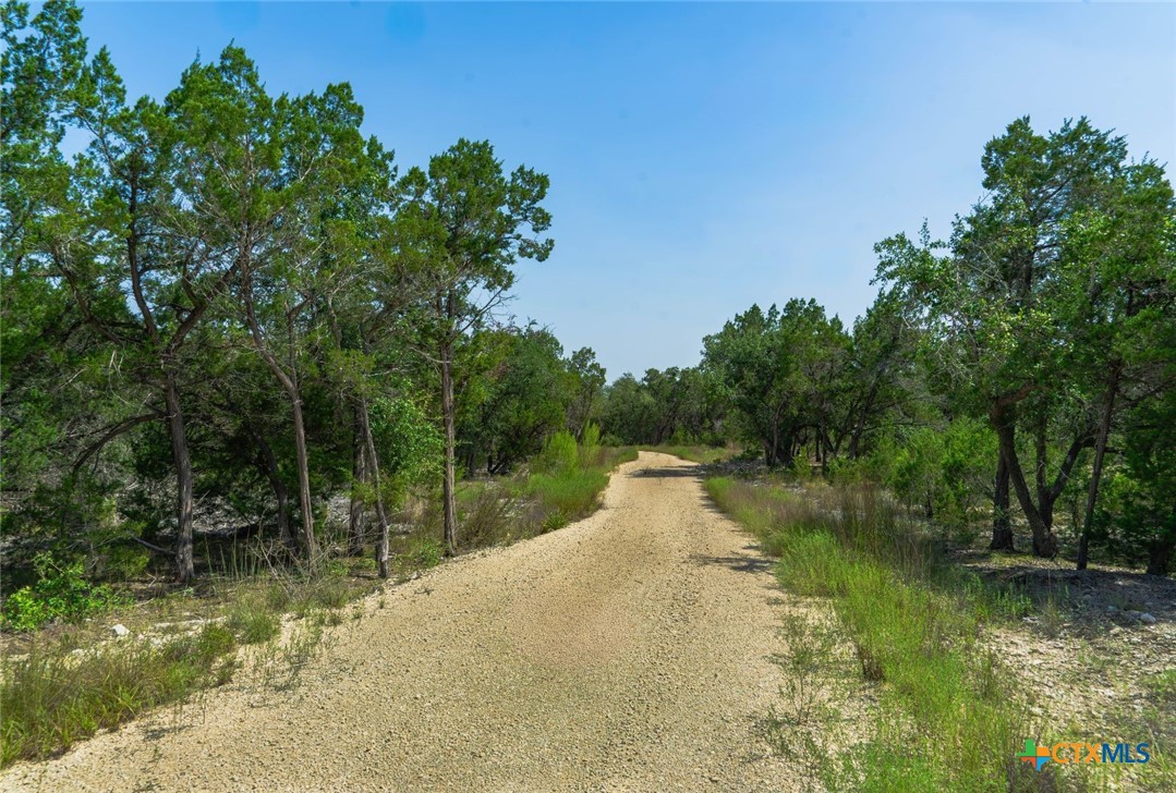 11916 Jim Bridger Drive