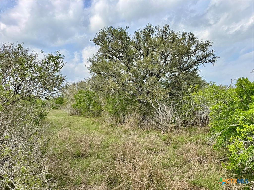 4025 Oil Field Road