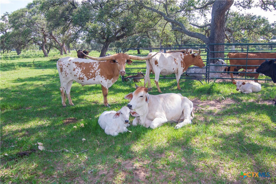 15545 State Highway 111