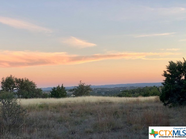 Spring Branch, Texas 78070, United States, ,Land,Active,74674