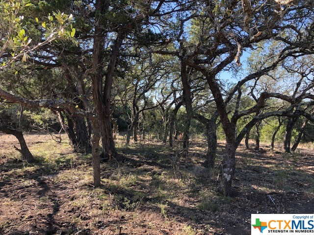 Spring Branch, Texas 78070, United States, ,Land,Active,74674