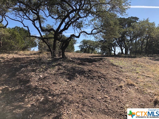 Spring Branch, Texas 78070, United States, ,Land,Active,74674