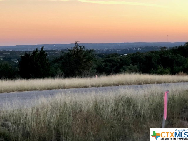 Spring Branch, Texas 78070, United States, ,Land,Active,74674