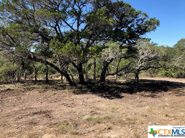 Spring Branch, Texas 78070, United States, ,Land,Active,74674