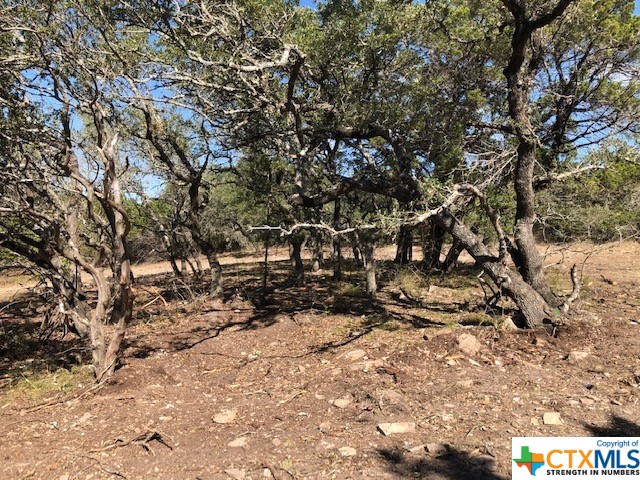 Spring Branch, Texas 78070, United States, ,Land,Active,74674