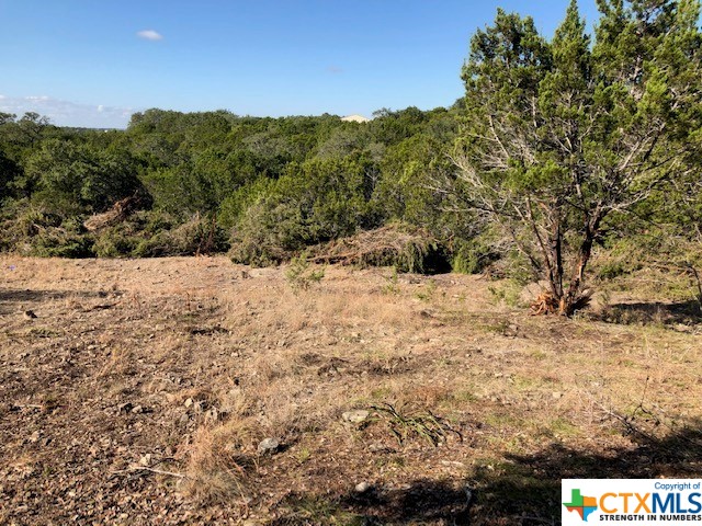 Spring Branch, Texas 78070, United States, ,Land,Active,74674