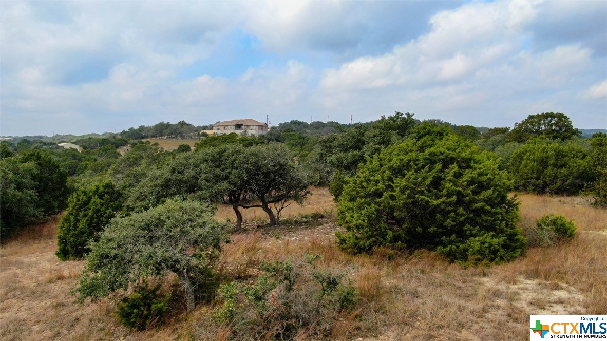 Spring Branch, Texas 78070, United States, ,Land,Active,74674