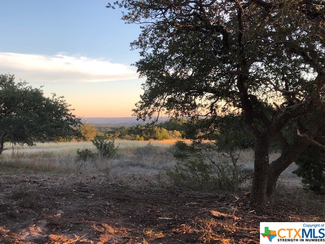 Spring Branch, Texas 78070, United States, ,Land,Active,74674