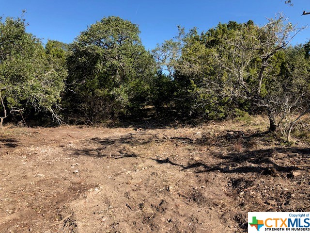 Spring Branch, Texas 78070, United States, ,Land,Active,74674