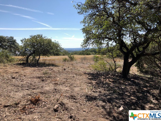 Spring Branch, Texas 78070, United States, ,Land,Active,74674