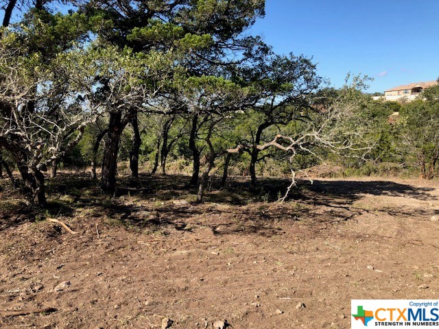 Spring Branch, Texas 78070, United States, ,Land,Active,74674