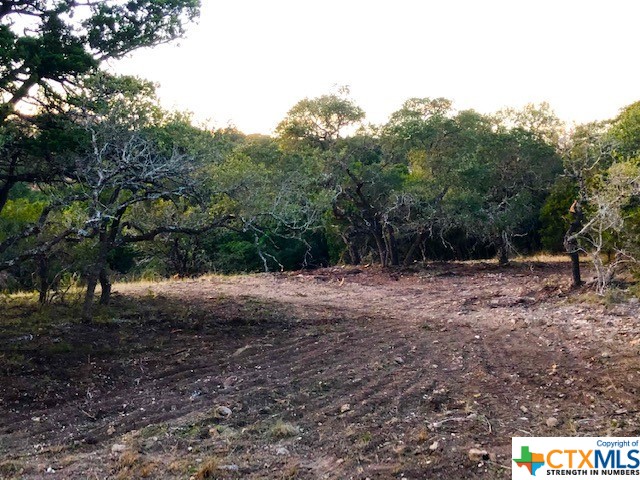 Spring Branch, Texas 78070, United States, ,Land,Active,74674