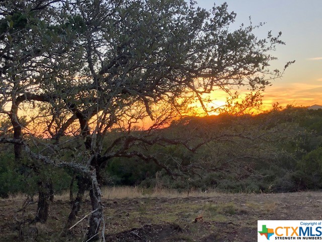 Spring Branch, Texas 78070, United States, ,Land,Active,74674