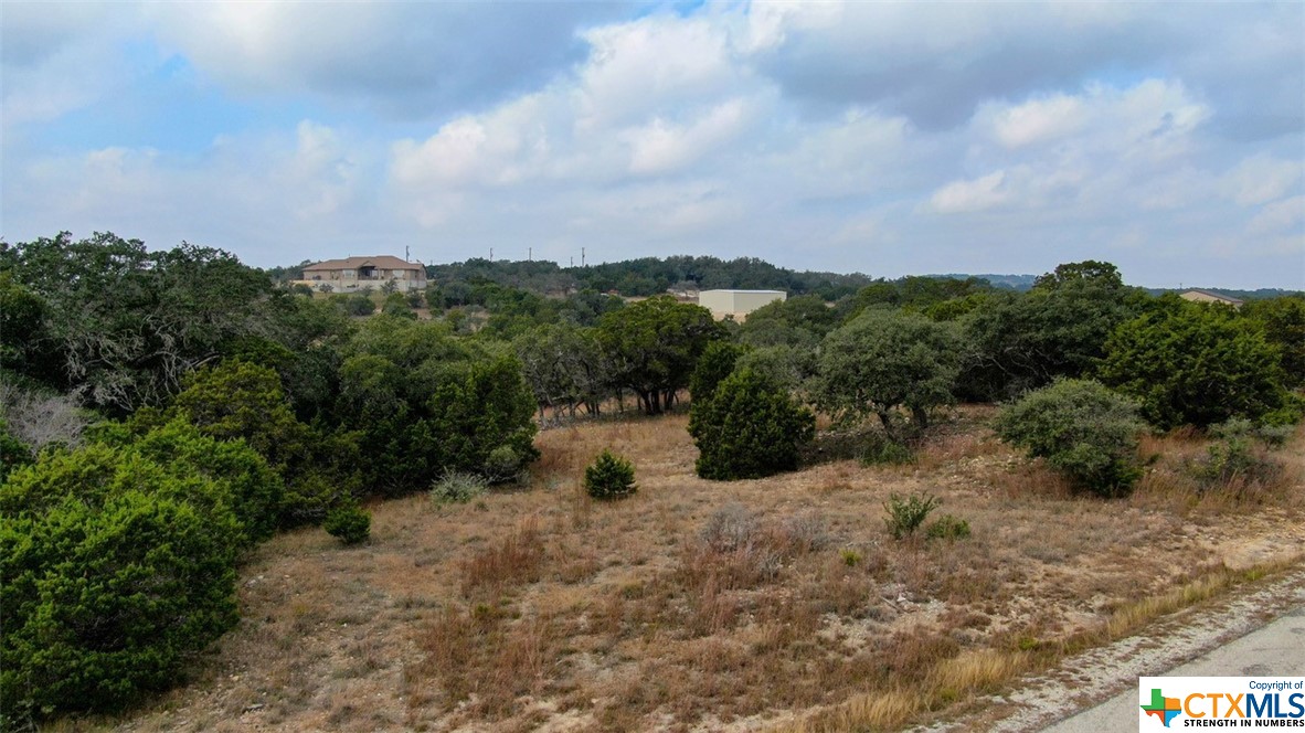 Spring Branch, Texas 78070, United States, ,Land,Active,74674