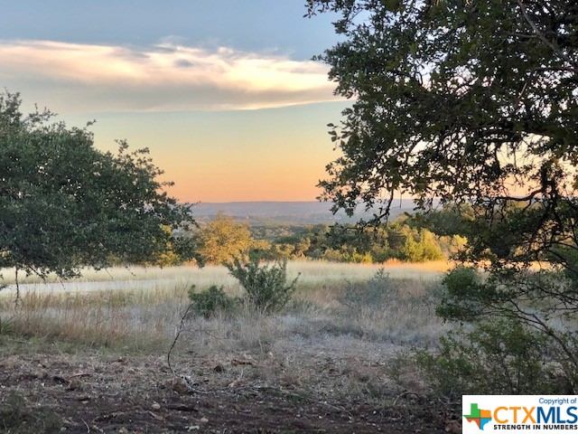 Spring Branch, Texas 78070, United States, ,Land,Active,74674