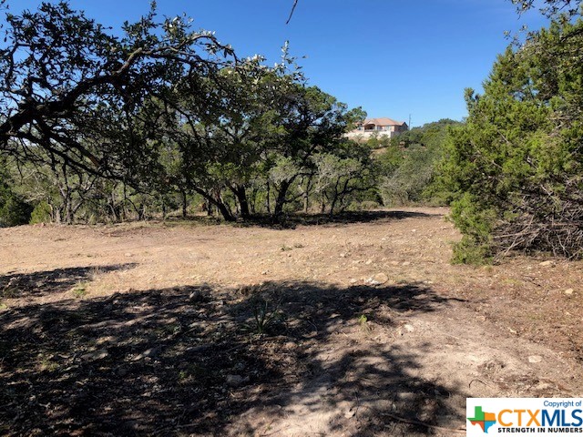 Spring Branch, Texas 78070, United States, ,Land,Active,74674