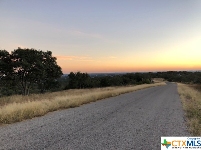 Spring Branch, Texas 78070, United States, ,Land,Active,74674