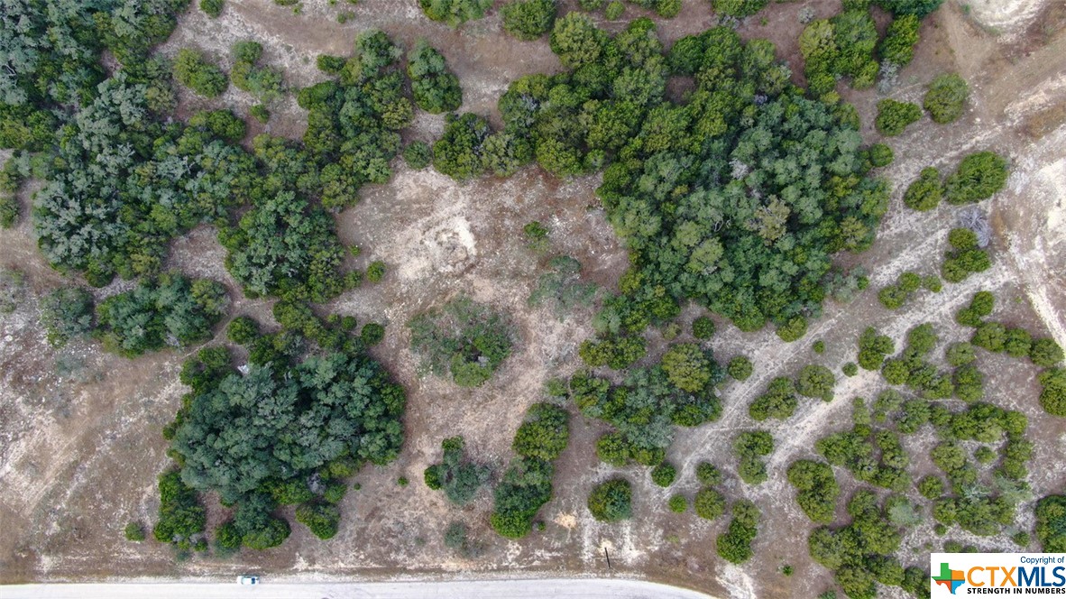 Spring Branch, Texas 78070, United States, ,Land,Active,74674