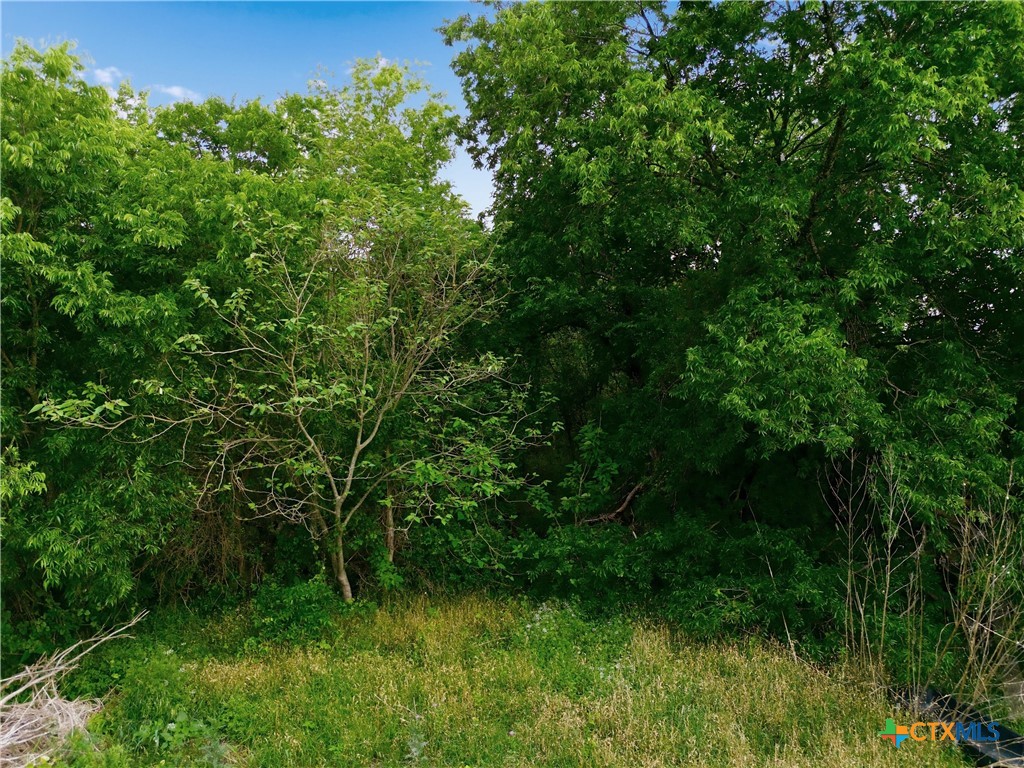 1.02+/- Acres Belton Avenue
