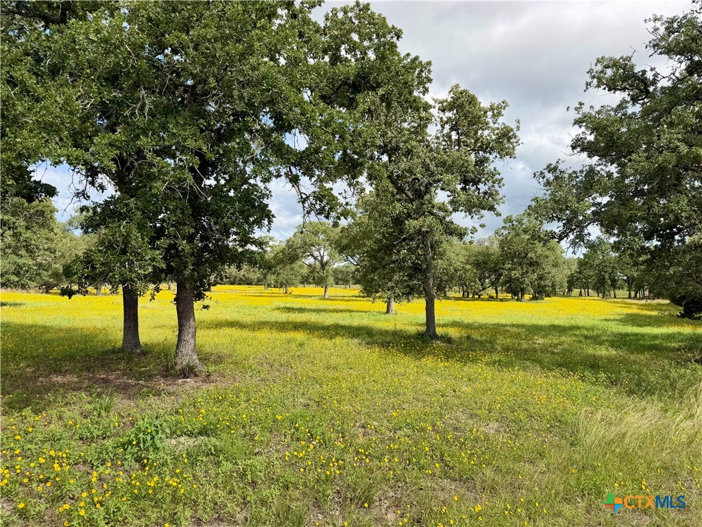 15631 Fm 682 - TRACT A