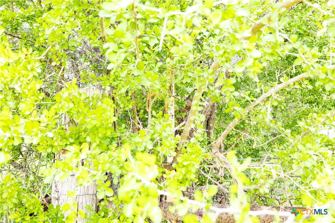 Lot 3 Concrete Edgar Road