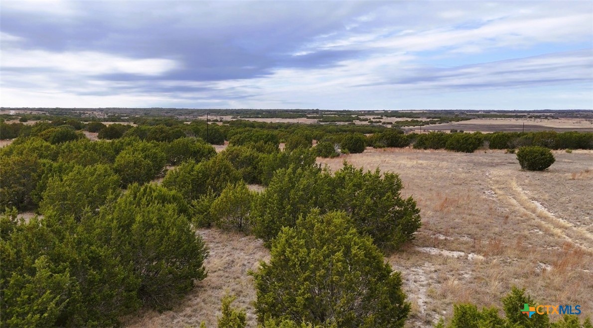 Lot 218 Heartleaf/Winecup Drive