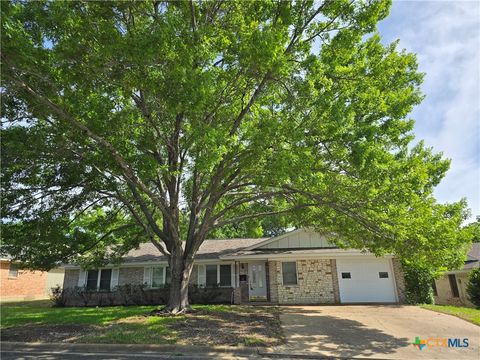 Photo of 2512 Lowrey Drive, Gatesville, TX 76528 (MLS # 611458)
