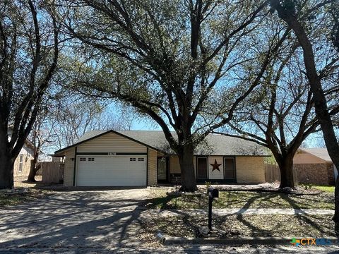 Photo of 2808 Lawndale Street, Killeen, TX 76549 (MLS # 605793)