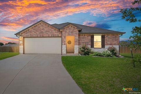 1000 Velvet Court Troy TX 76579