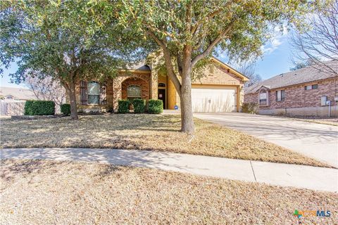 Photo of 6704 Indian Hawthorne Drive, Killeen, TX 76542 (MLS # 603949)